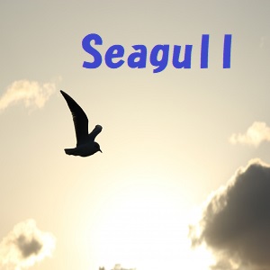 朝スキャEA【Seagull】シリーズの紹介